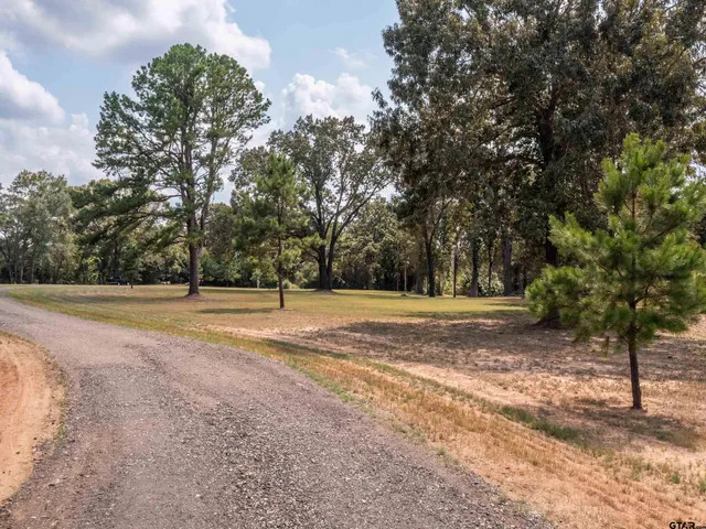 a view of a yard with a large trees
