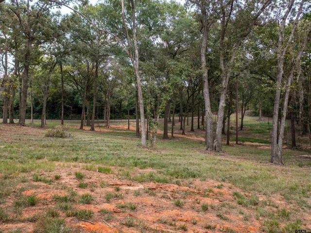 $450,000 | 22080 Henderson County Road 4117, Frankston, TX 75763