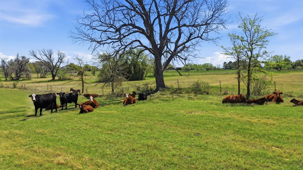 3601 Springfield Road Springtown, TX 76082 - Photo 37 of 40