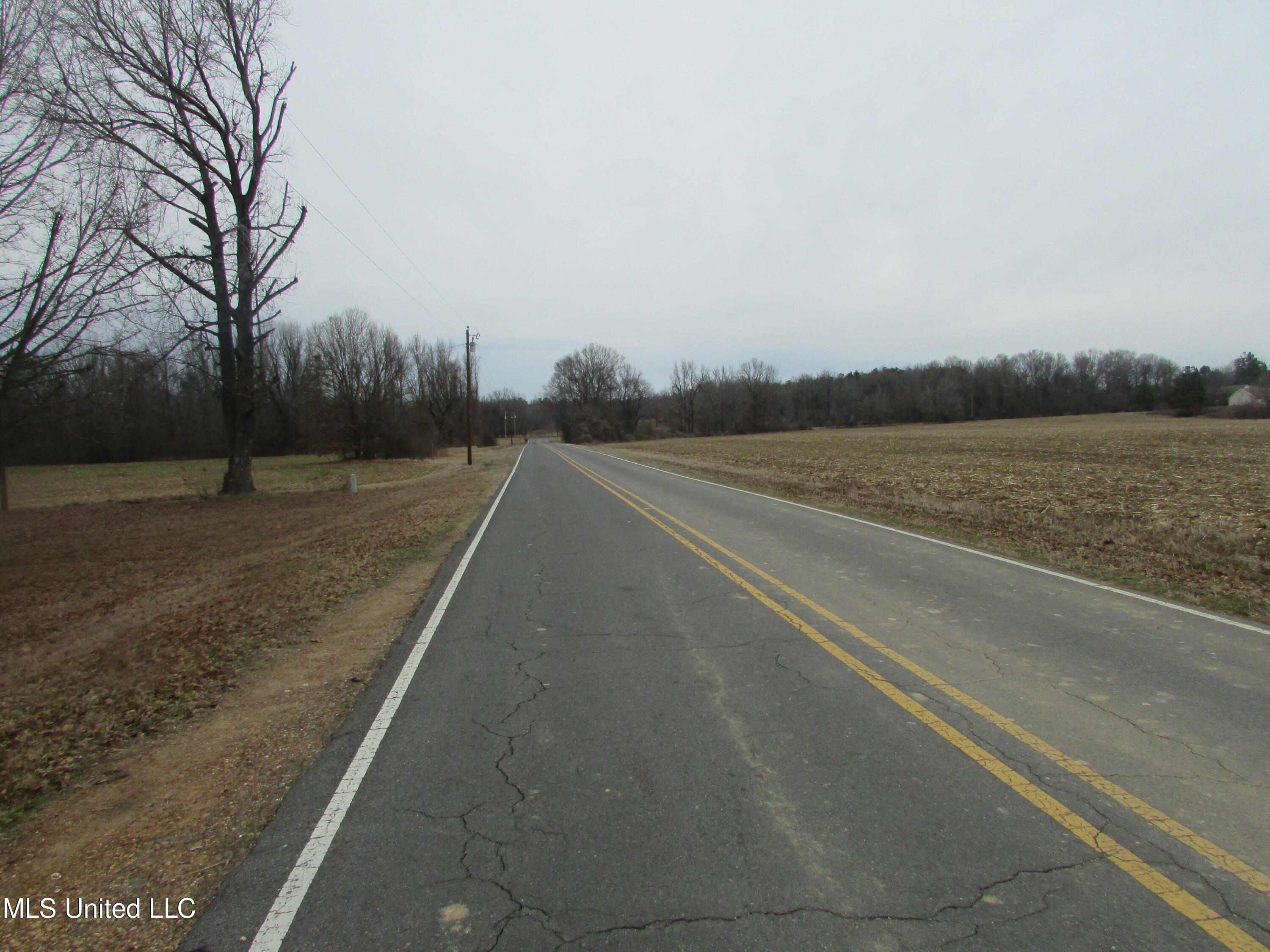 2223 Grass Pond Road Hernando, MS 38632 - Photo 5 of 25 Street View (1)