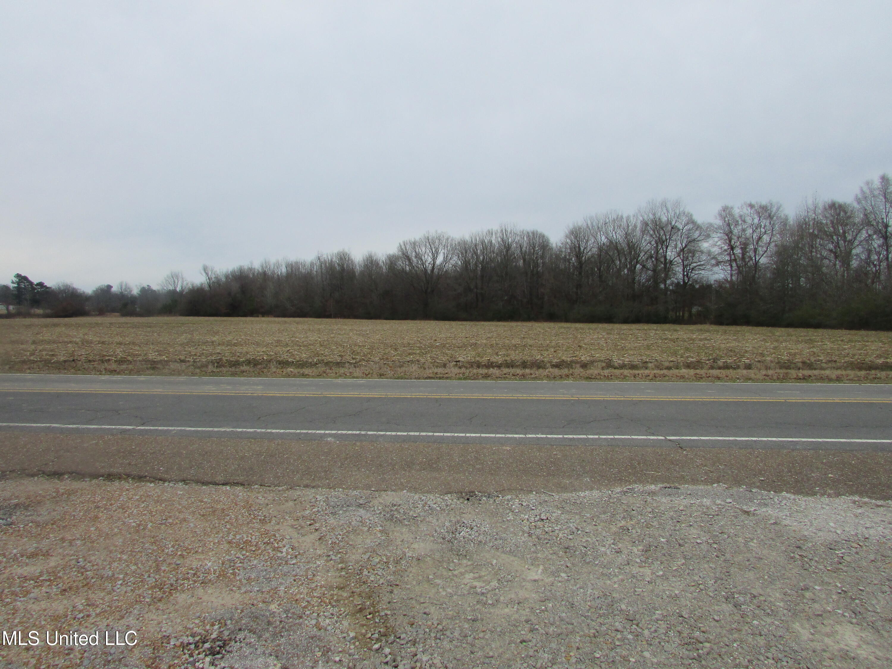 2223 Grass Pond Road Hernando, MS 38632 - Photo 7 of 25 View Across the Street