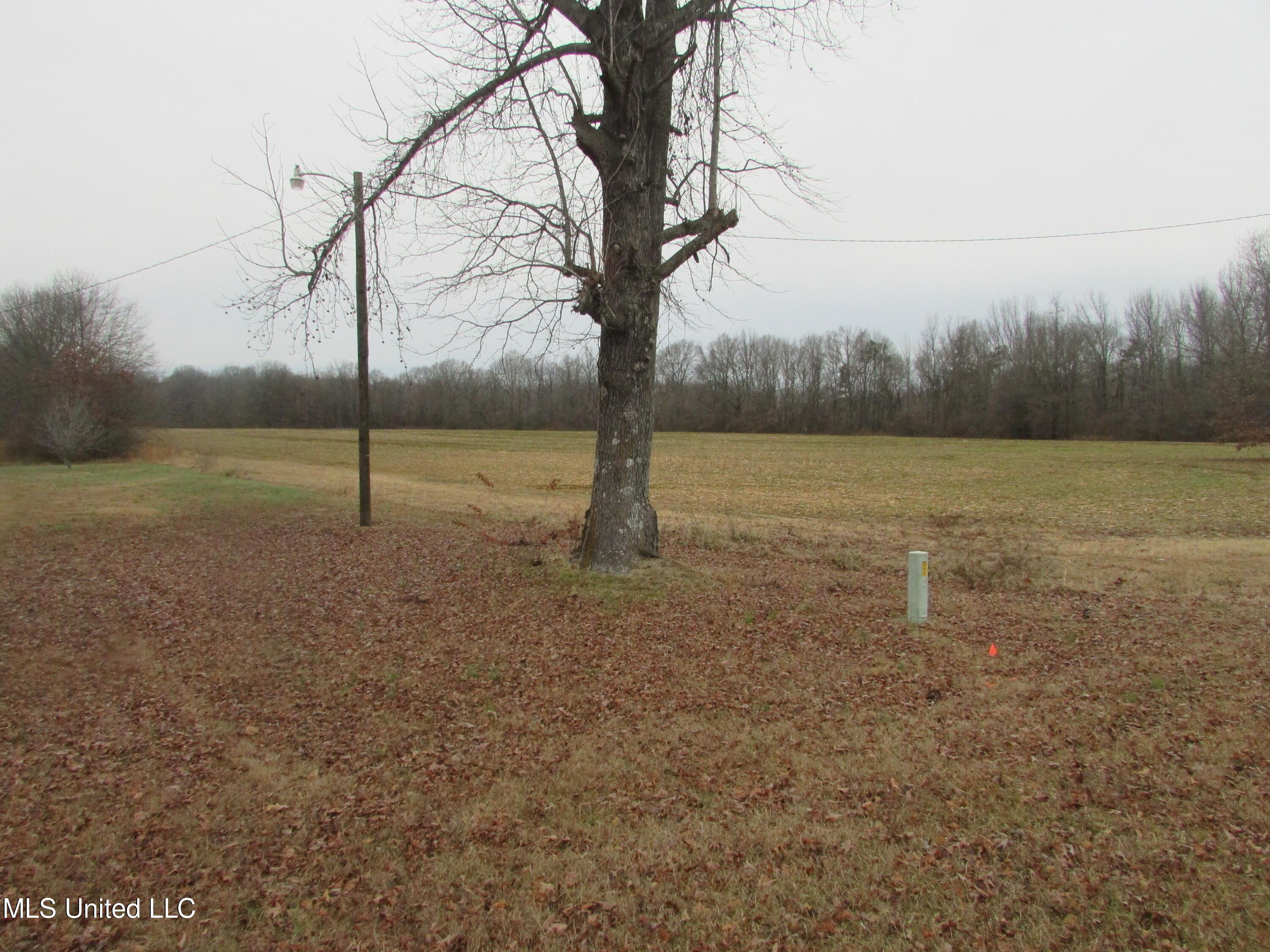 2223 Grass Pond Road Hernando, MS 38632 - Photo 8 of 25 View North of property