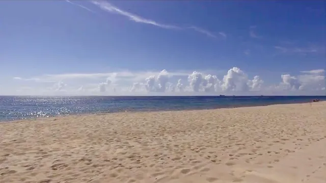 $215,000 | 3300 Northeast 36th Street, Unit 303, Fort Lauderdale, FL 33308