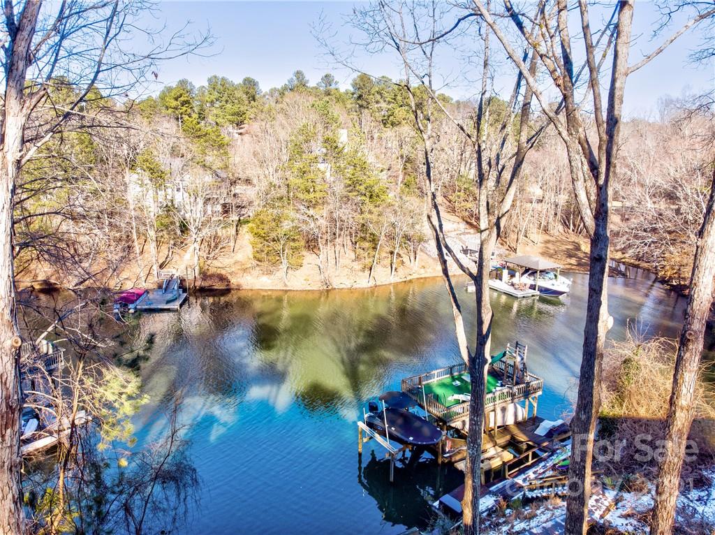 10043 Tepa Place Tega Cay, SC 29708 - Photo 23 of 32 a backyard of a house with lots of green space