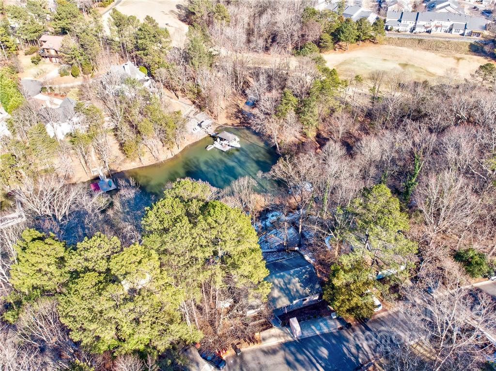 10043 Tepa Place Tega Cay, SC 29708 - Photo 31 of 32 a outdoor view of yard