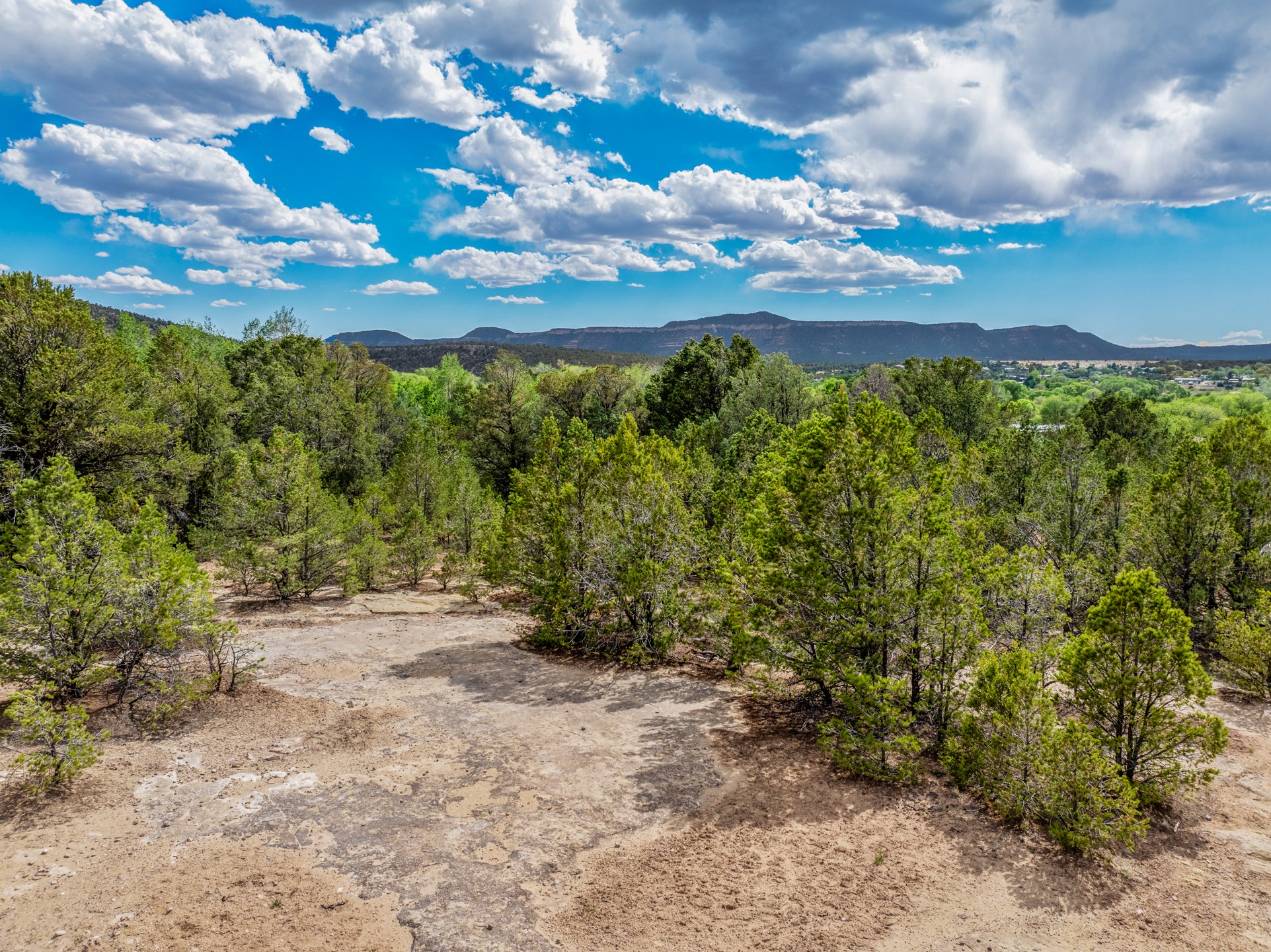 2.38-acres Old Colonias Road Pecos, NM 87552 - Photo 16 of 25