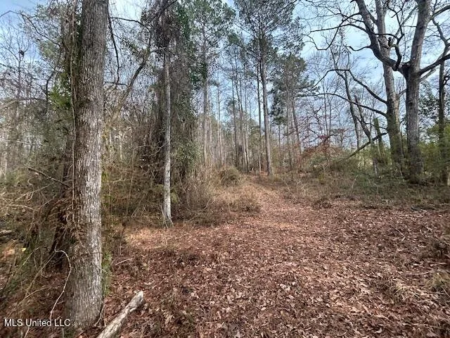 $126,500 | 0 Southeast Pricedale Drive, Bogue Chitto, MS 39629
