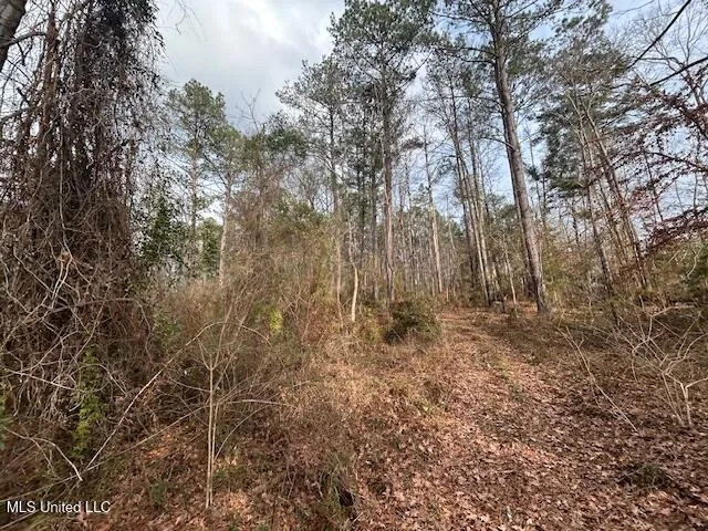 $126,500 | 0 Southeast Pricedale Drive, Bogue Chitto, MS 39629