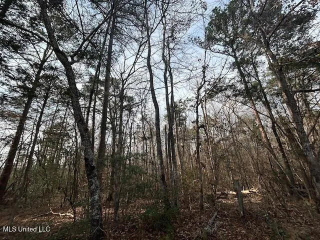$126,500 | 0 Southeast Pricedale Drive, Bogue Chitto, MS 39629