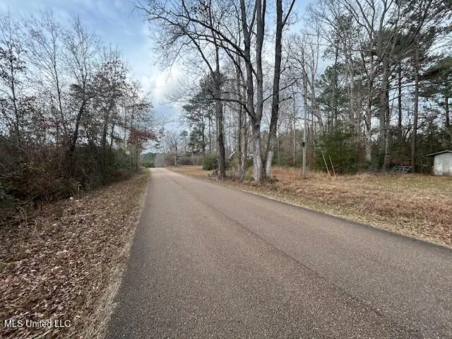 $126,500 | 0 Southeast Pricedale Drive, Bogue Chitto, MS 39629