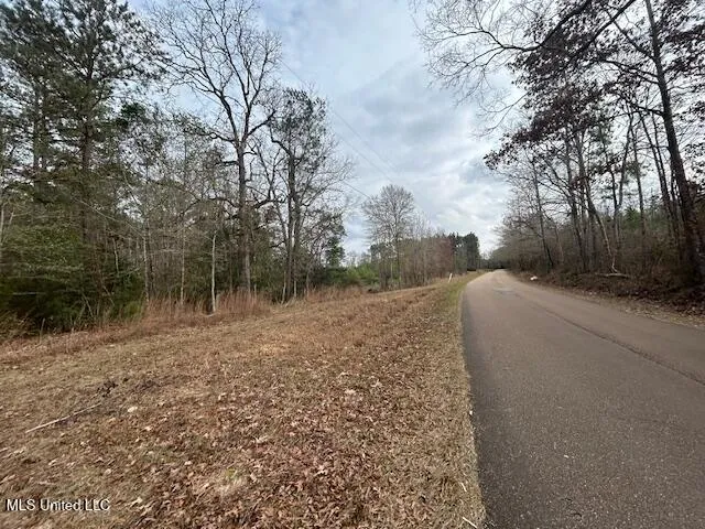 $126,500 | 0 Southeast Pricedale Drive, Bogue Chitto, MS 39629