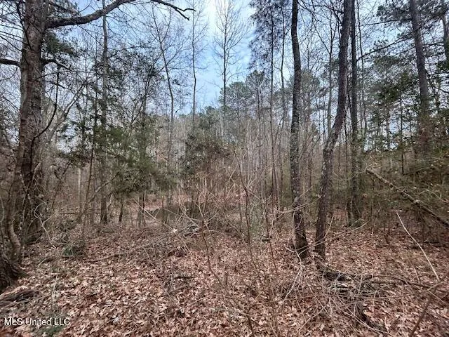 $126,500 | 0 Southeast Pricedale Drive, Bogue Chitto, MS 39629
