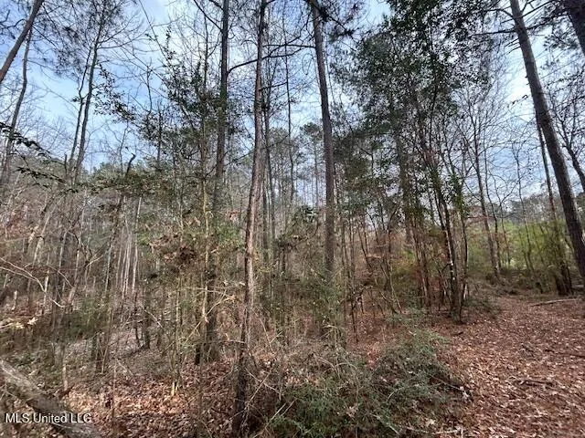 $126,500 | 0 Southeast Pricedale Drive, Bogue Chitto, MS 39629