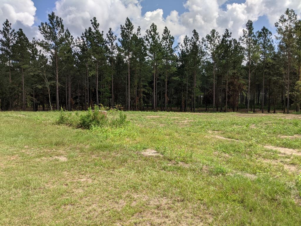 509 Lucy Grade Road Dothan, AL 36301 - Photo 18 of 19