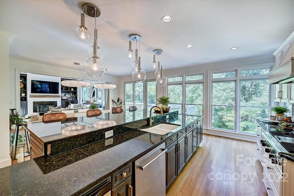 18600 Hammock Lane Davidson, NC 28036 - Photo 16 of 48 a room with stainless steel appliances granite countertop sink stove and wooden floor