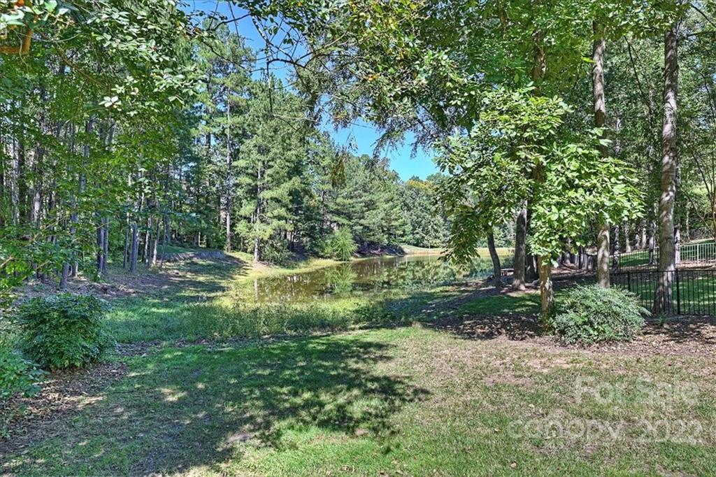 18600 Hammock Lane Davidson, NC 28036 - Photo 48 of 48 a view of backyard with green space