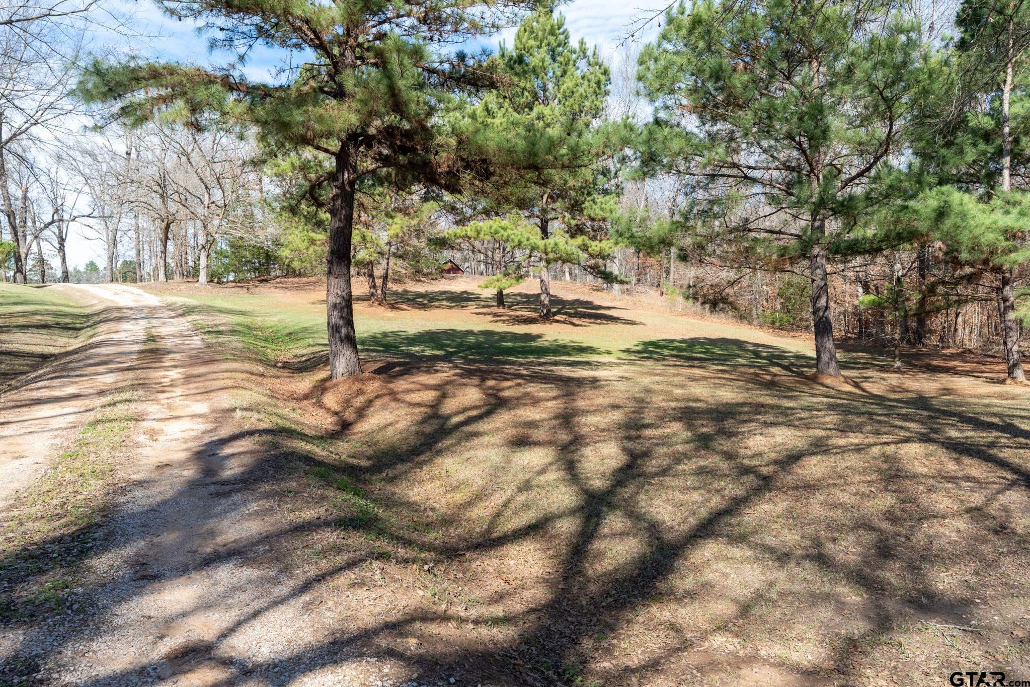 15857 County Road 384 Tyler, TX 75708 - Photo 2 of 48