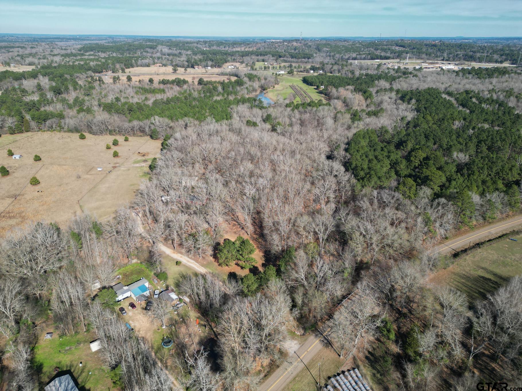 15857 County Road 384 Tyler, TX 75708 - Photo 42 of 48