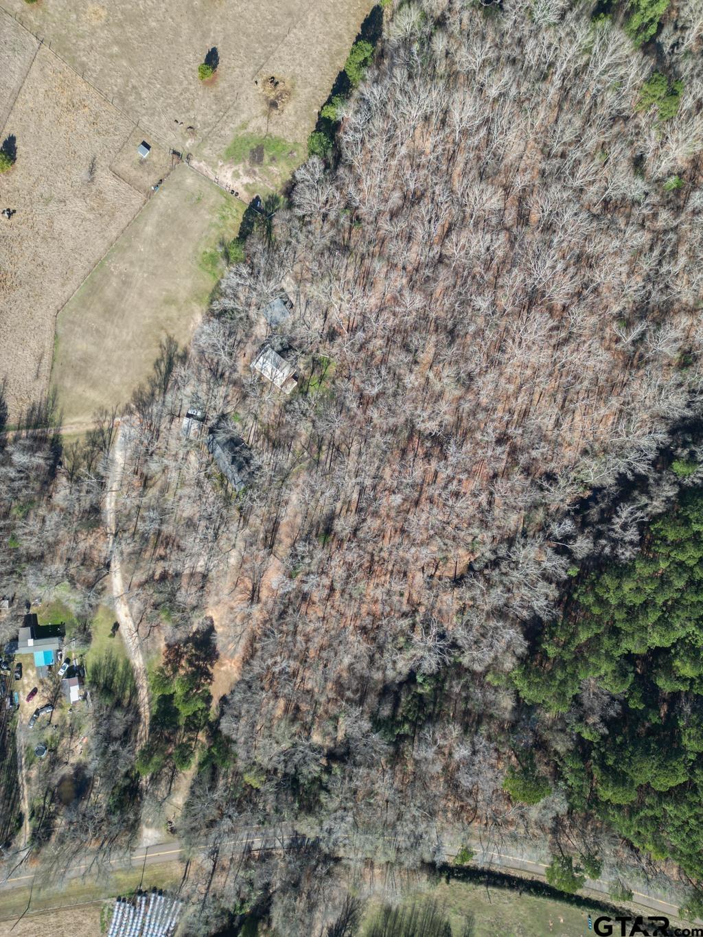 15857 County Road 384 Tyler, TX 75708 - Photo 45 of 48