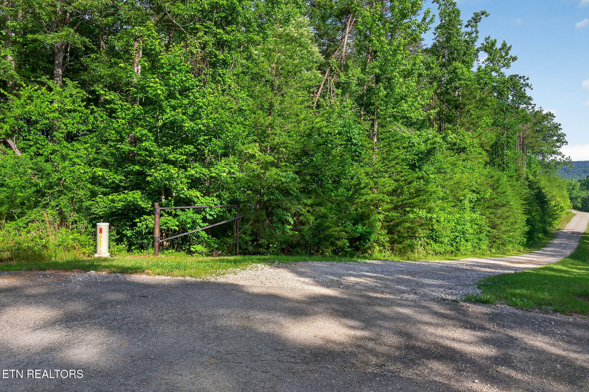 Simmons Cemetery Road Quebeck, TN 38579 - Photo 12 of 20 LOT #6