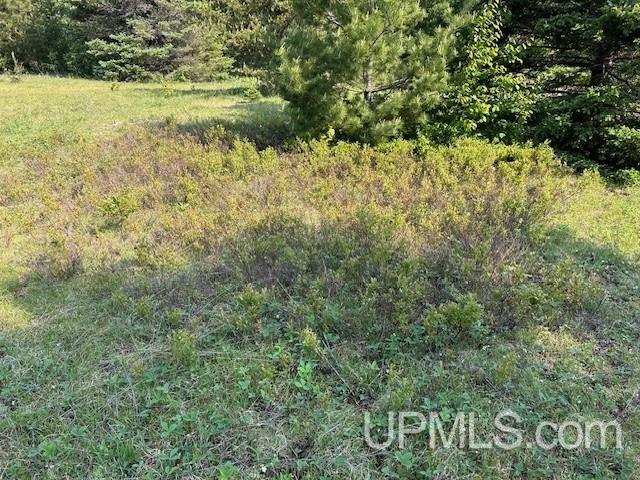 13408 West Jackola ( Road Atlantic Mine, MI 49905 - Photo 16 of 21