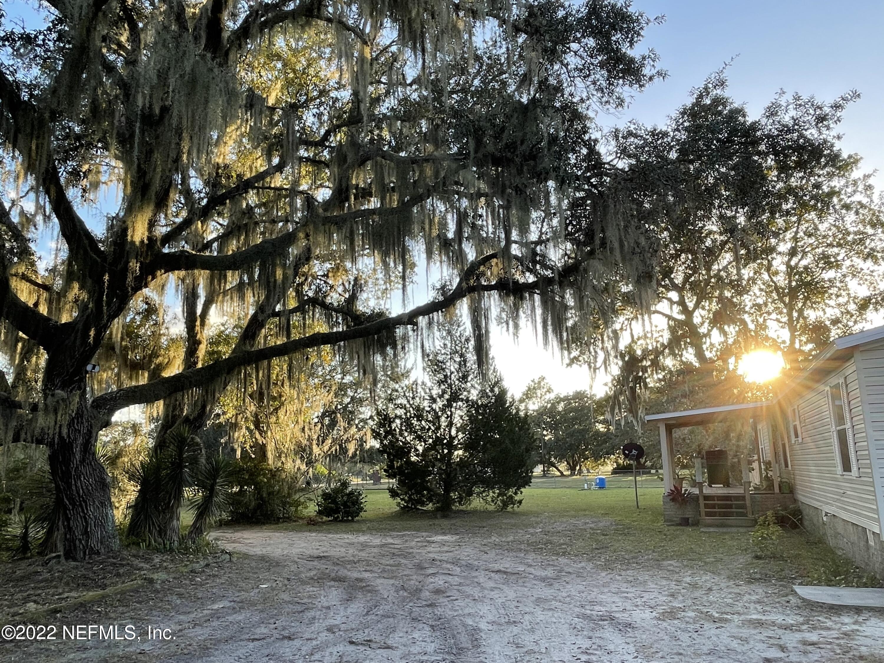 116 Comer Road Palatka, FL 32177 - Photo 11 of 51 a view of a yard with a tree