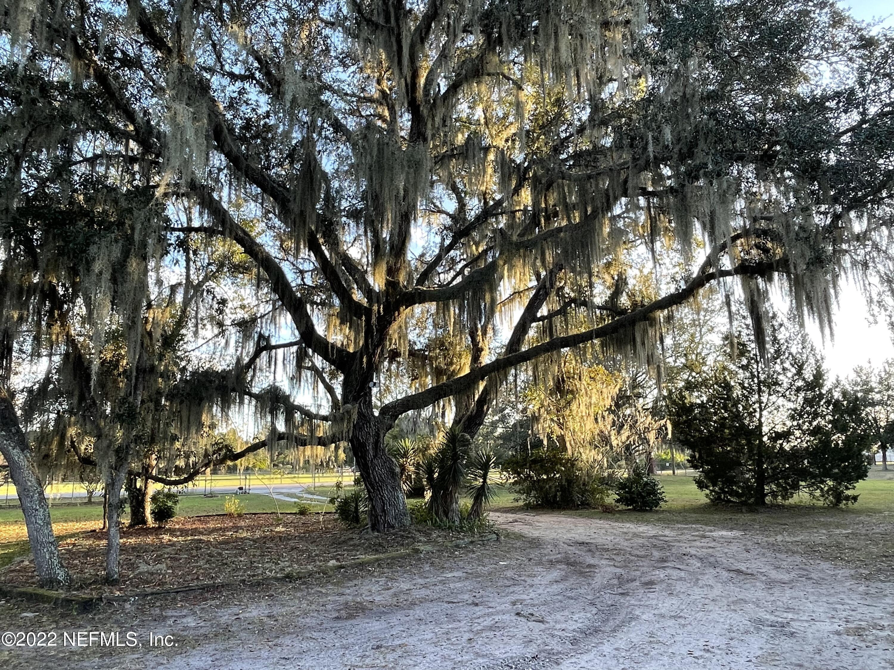 116 Comer Road Palatka, FL 32177 - Photo 12 of 51 a view of a trees with a yard