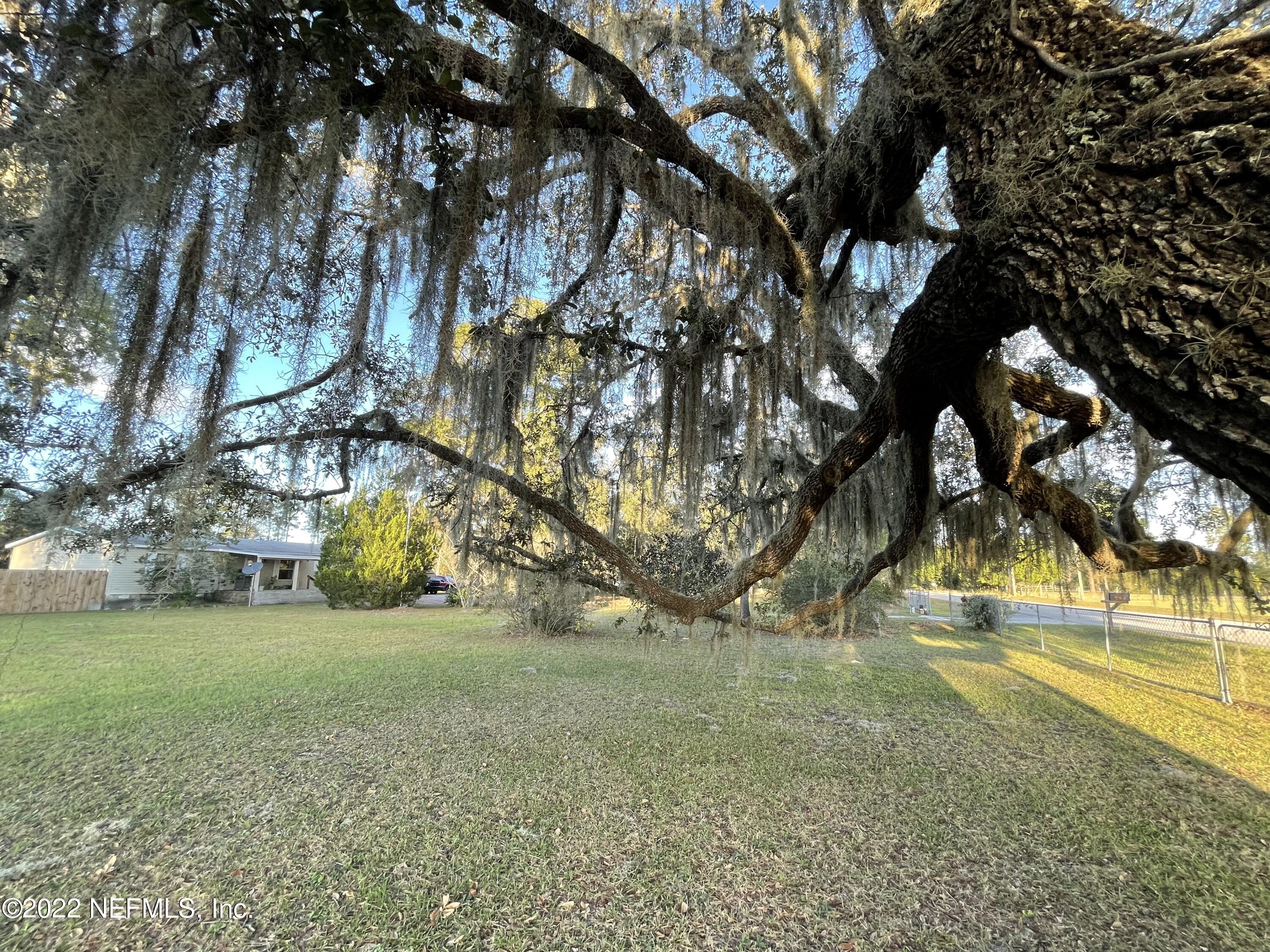 116 Comer Road Palatka, FL 32177 - Photo 17 of 51 a view of yard with green space