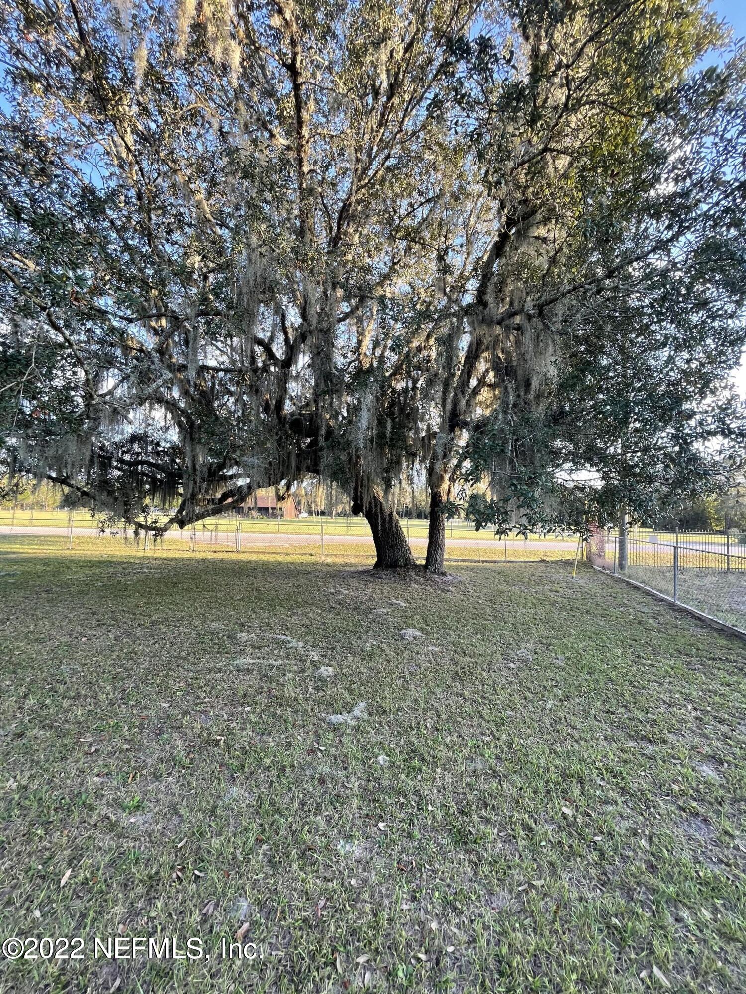 116 Comer Road Palatka, FL 32177 - Photo 18 of 51 a view of yard with trees