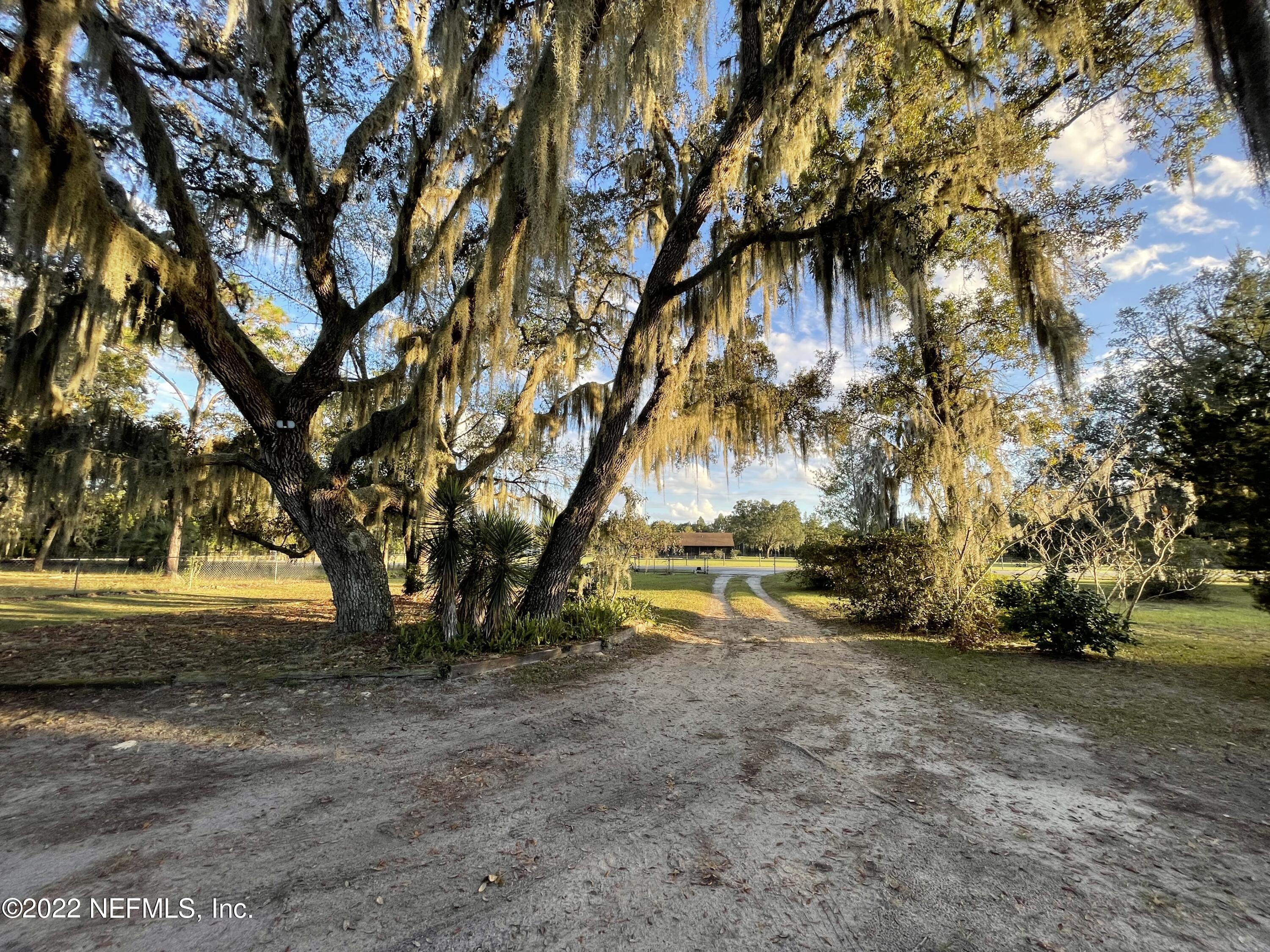 116 Comer Road Palatka, FL 32177 - Photo 23 of 51 a view of yard with swimming pool and trees