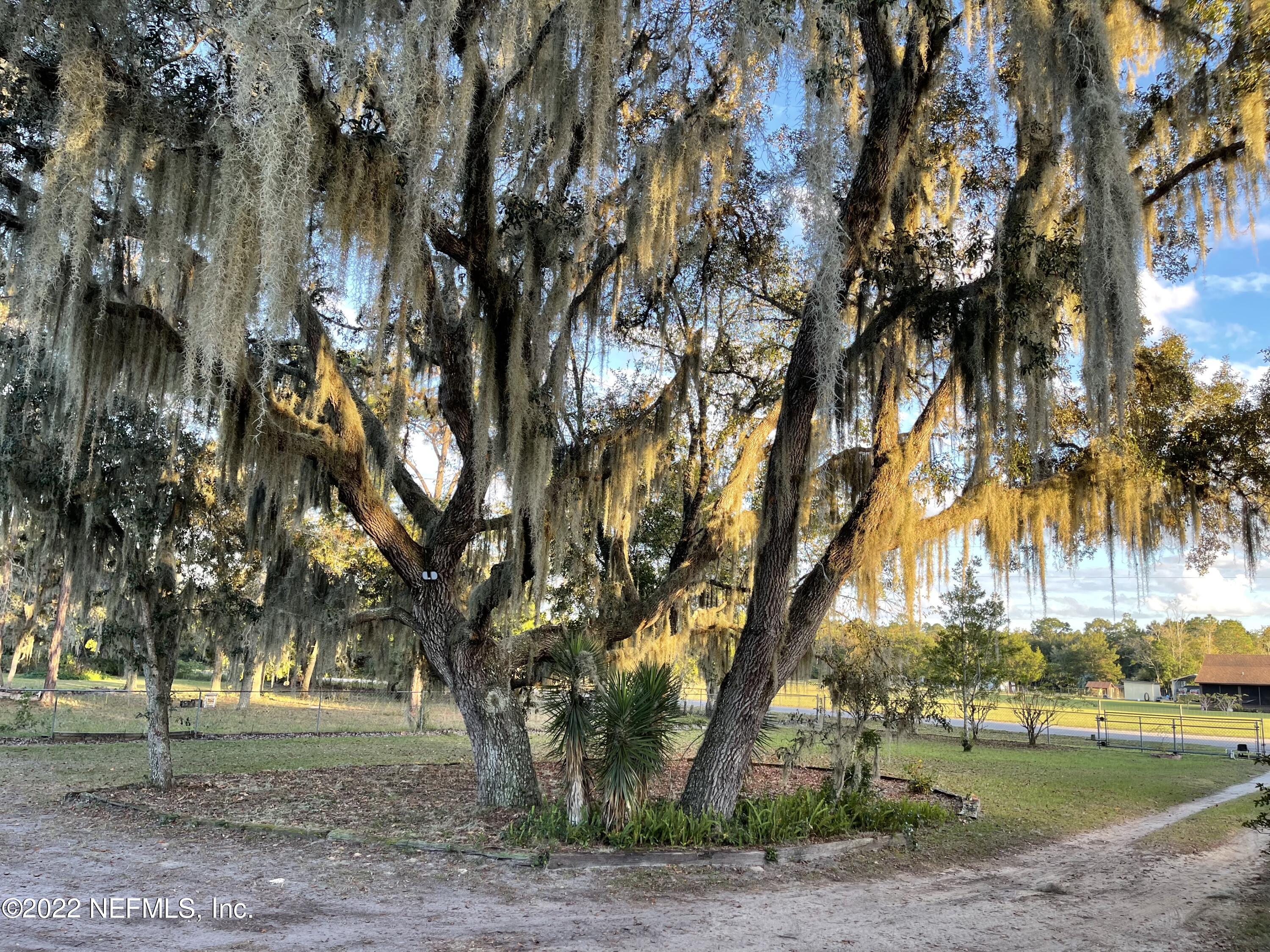 116 Comer Road Palatka, FL 32177 - Photo 8 of 51 a view of outdoor space with trees