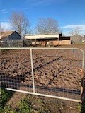 11248 Tom Sassman Road Austin, TX 78747 - Photo 24 of 24 pens & barn