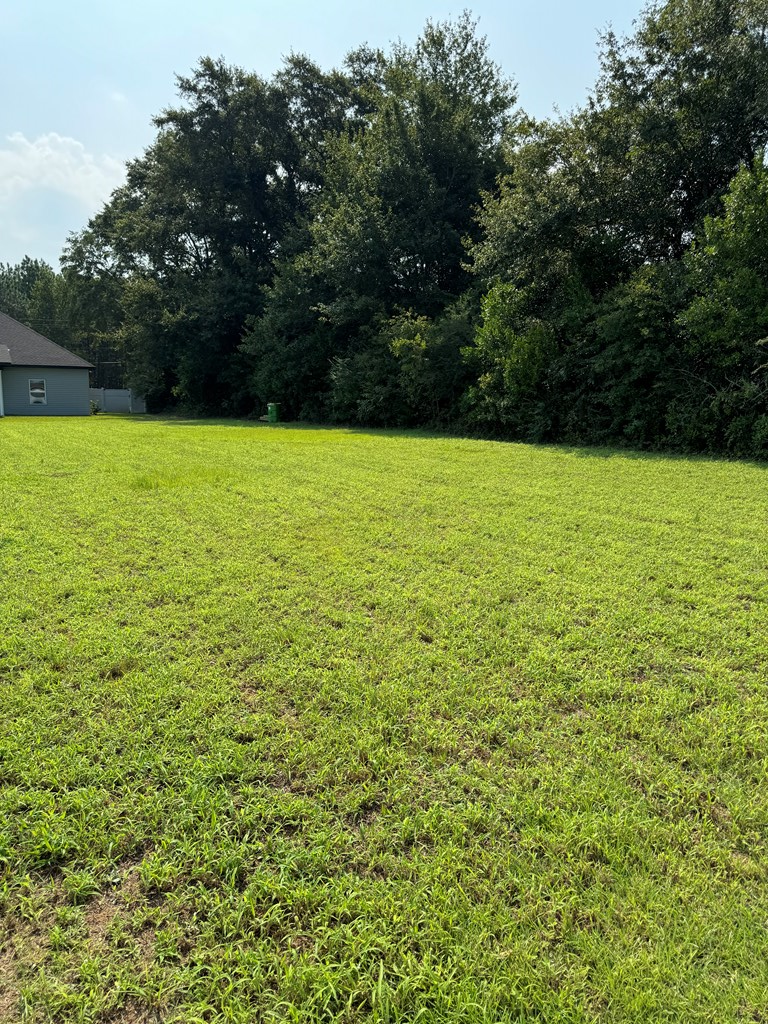 234 Highland Road Slocomb, AL 36375 - Photo 66 of 71