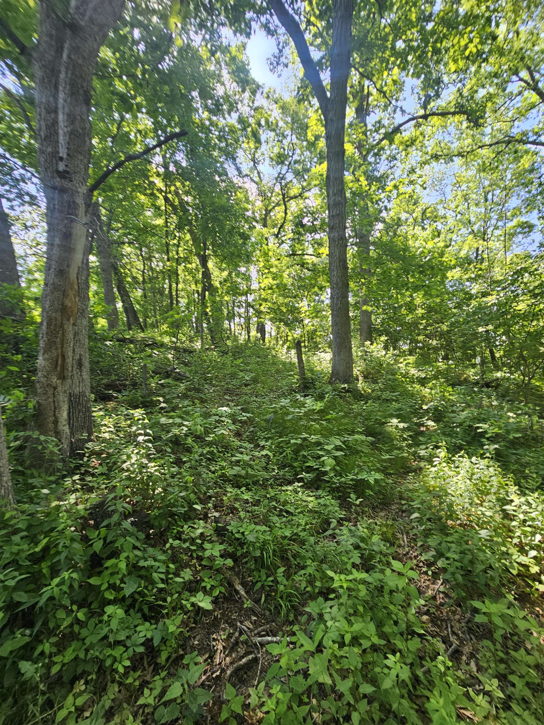 13061 Walnut Blf Road Bagley, WI 53801 - Photo 15 of 18