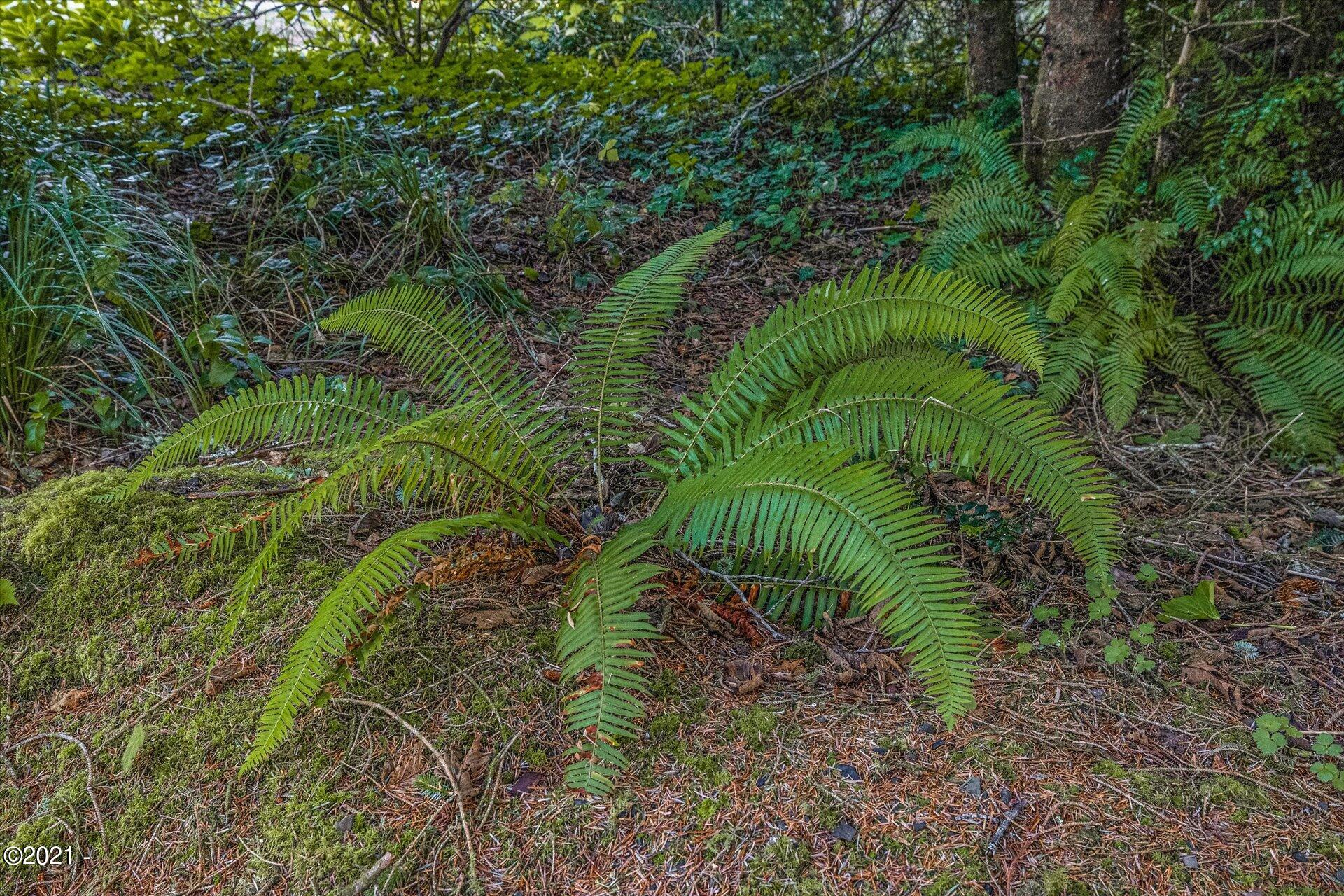 273 Nesting Glade Depoe Bay, OR 97341 - Photo 30 of 57 36-36 - 273 SW Nesting Glade Depoe Bay