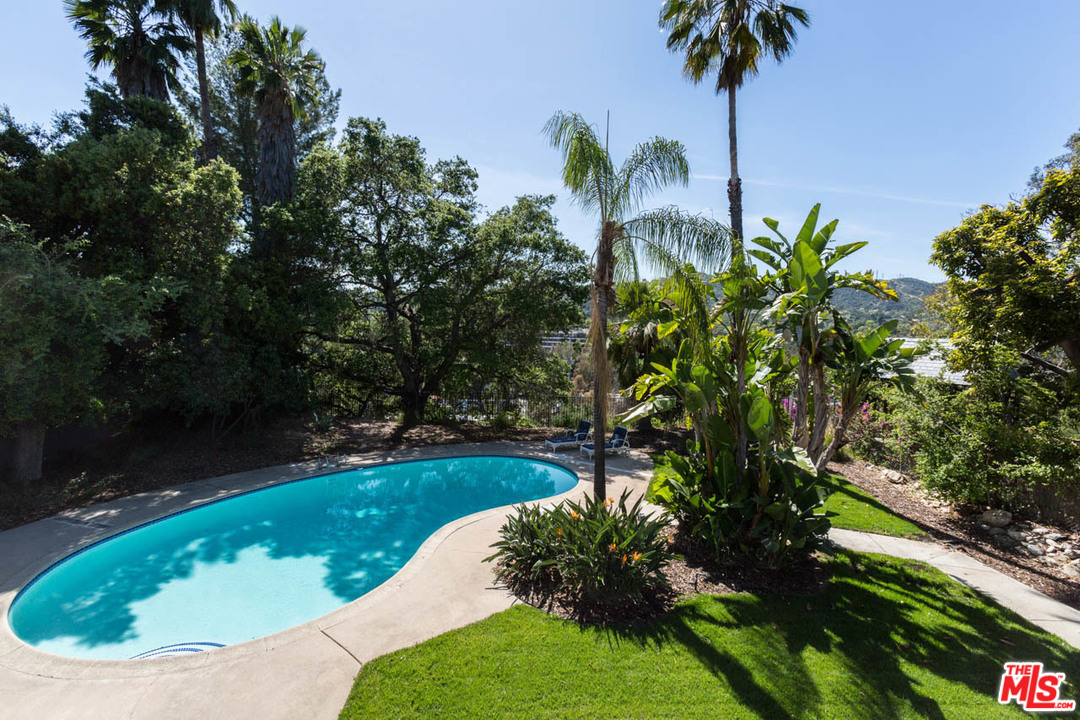 5 Richland Place Pasadena, CA 91103 - Photo 49 of 54 a view of a backyard with plants and palm tree