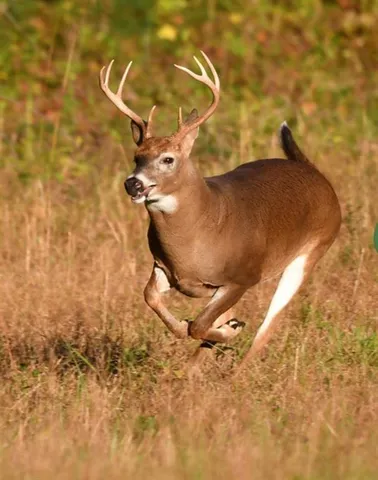 $399,500 | 12521 Sue Lane, Godley, TX 76044