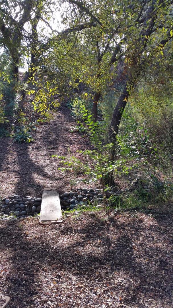 15925 Viewfield Road Monte Sereno, CA 95030 - Photo 28 of 31