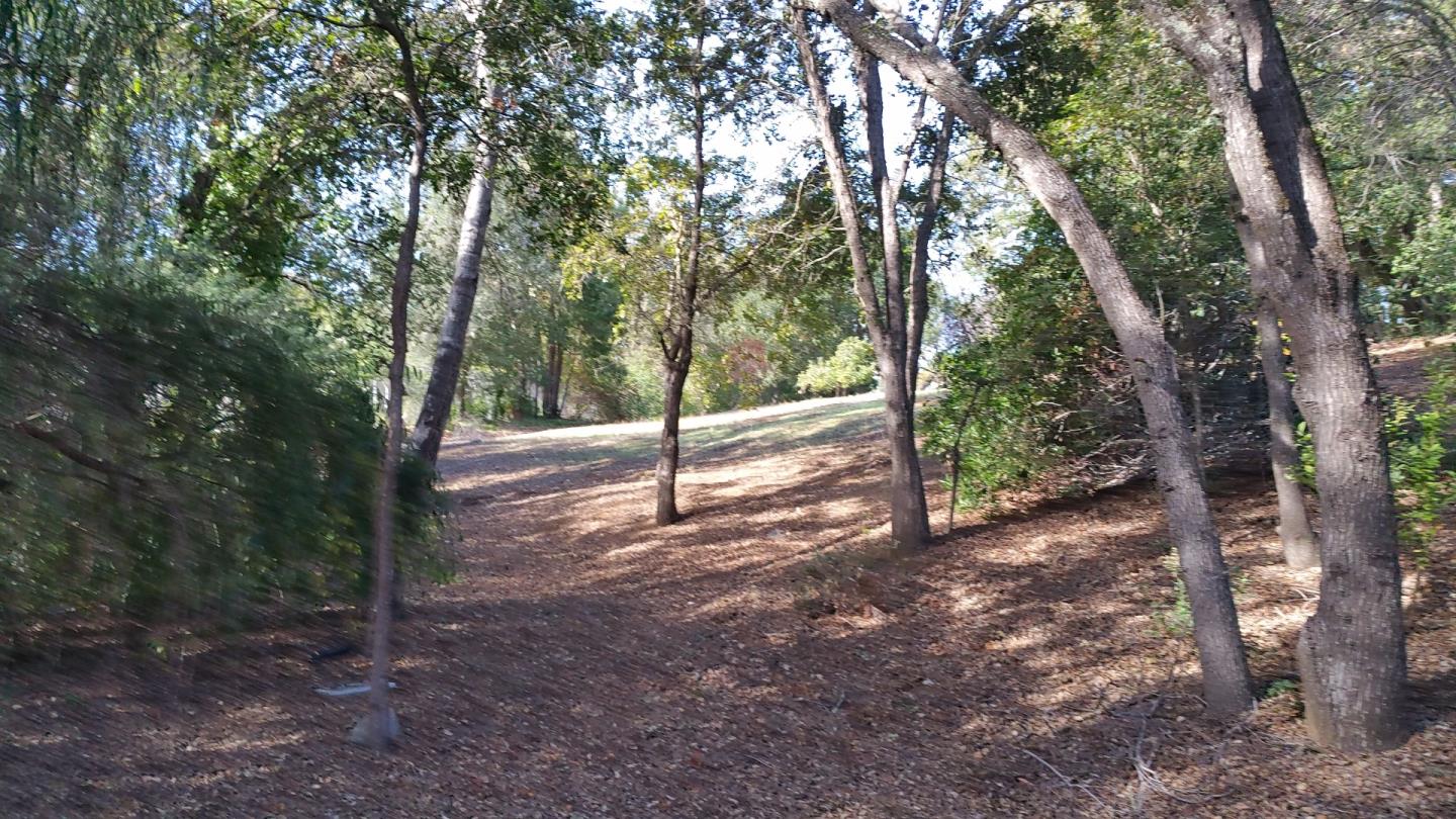 15925 Viewfield Road Monte Sereno, CA 95030 - Photo 29 of 31