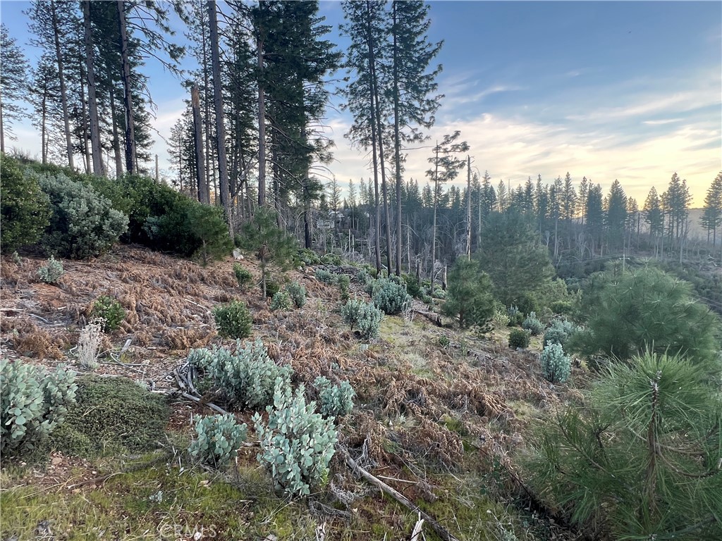 16790 Starview Loop Cobb, CA 95426 - Photo 12 of 15