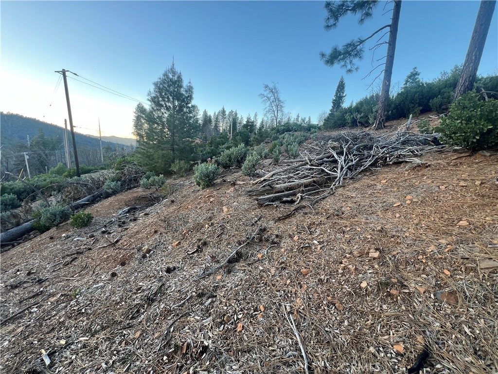 16790 Starview Loop Cobb, CA 95426 - Photo 8 of 15