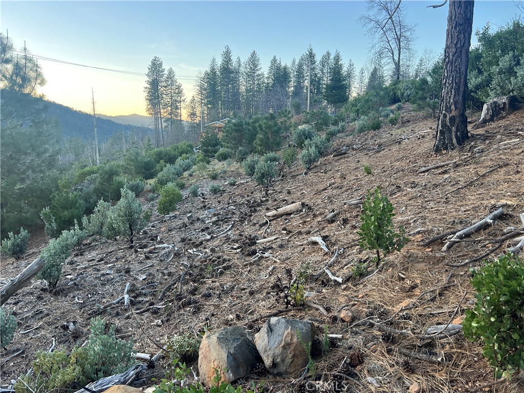 16790 Starview Loop Cobb, CA 95426 - Photo 10 of 15