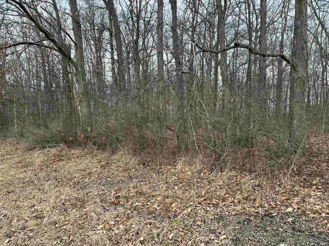 $500,000 | 5797 Rolling Run, Leo, IN 46765