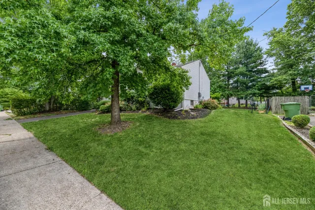 a view of a park with large trees