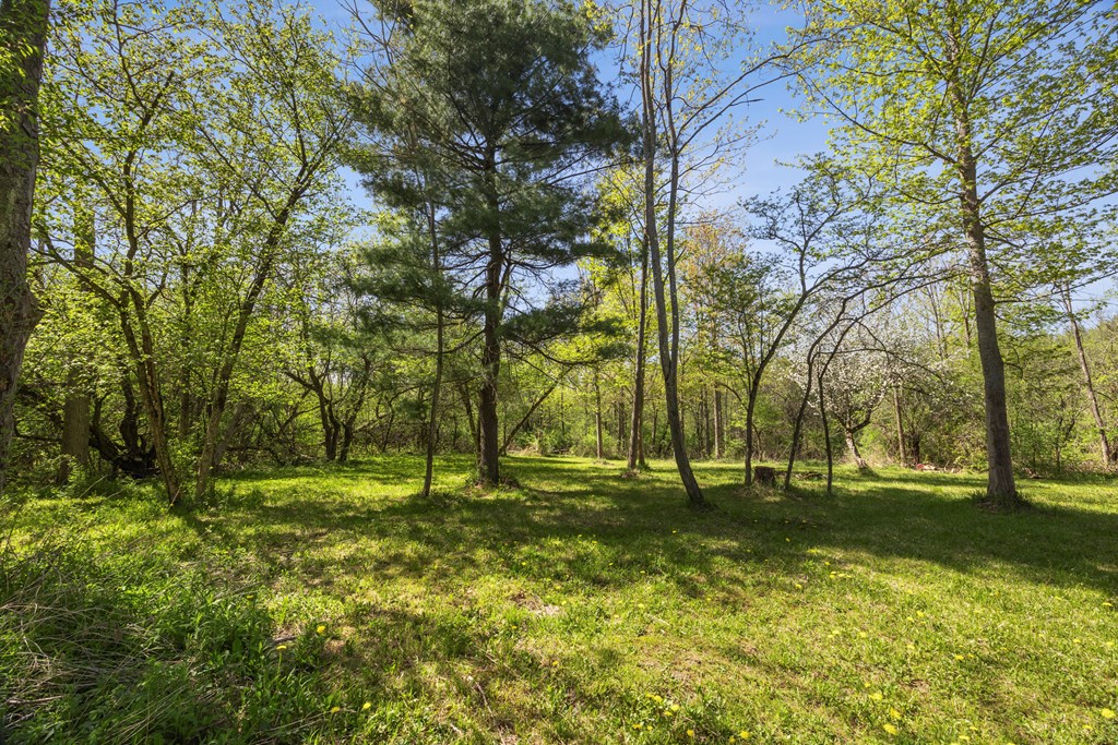 1473 Beach Road Tyrone, NY 14891 - Photo 17 of 36 Gallery Image 17