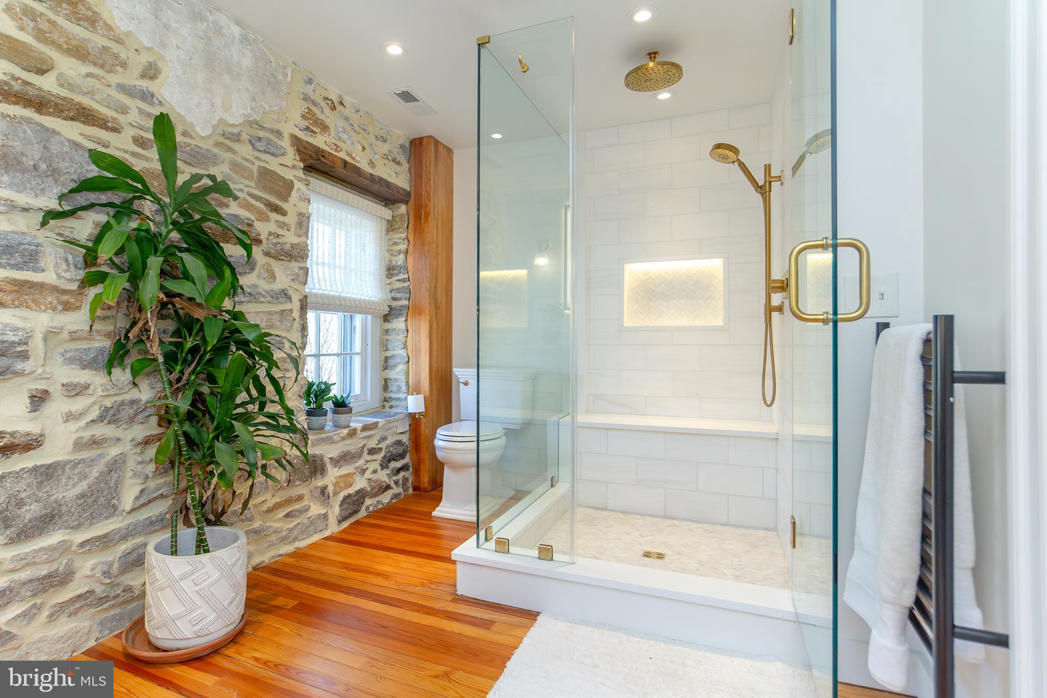 10108 Falls Road Lutherville-Timonium, MD 21093 - Photo 20 of 55 a bathroom with a potted plant and a bathtub