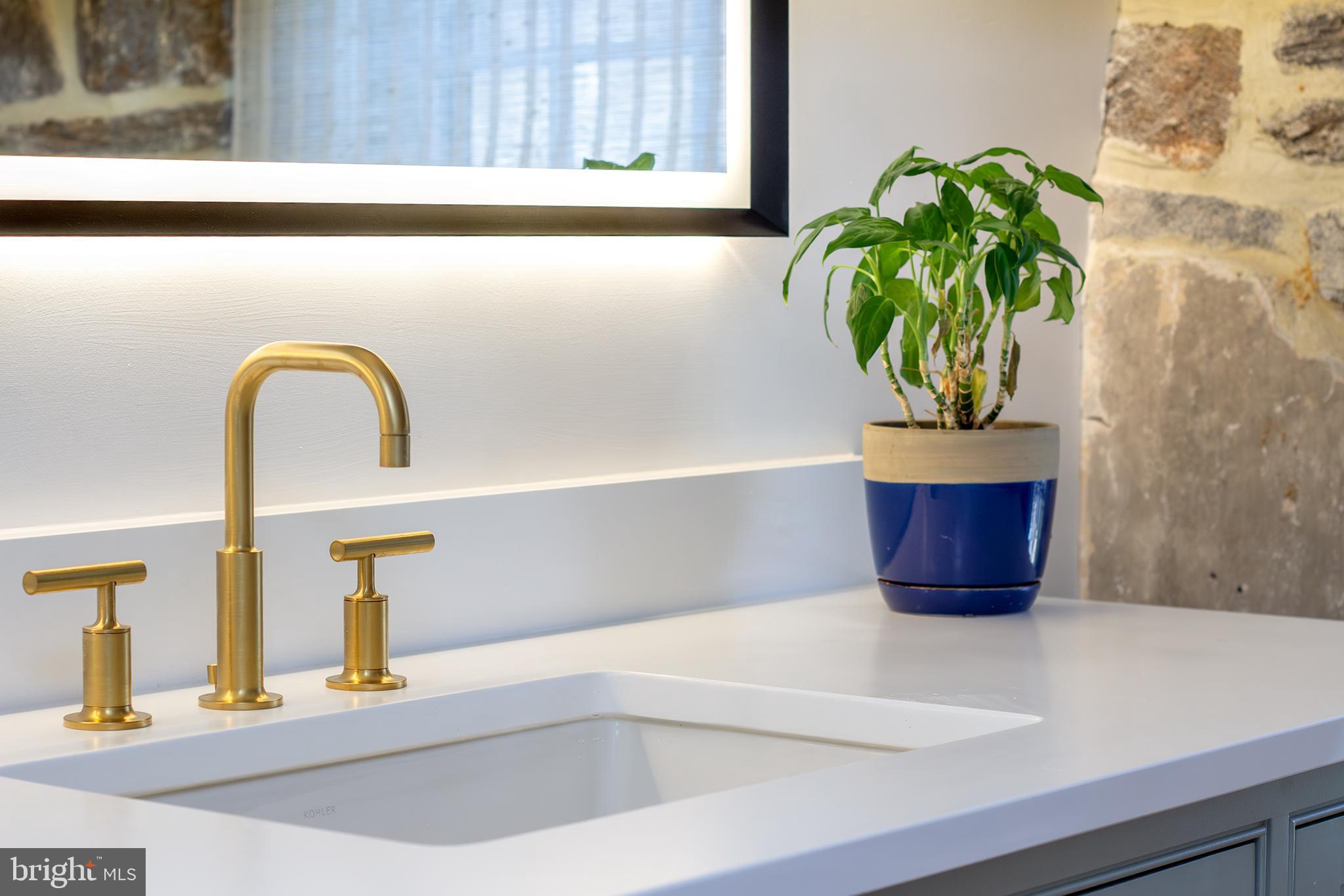 10108 Falls Road Lutherville-Timonium, MD 21093 - Photo 21 of 55 a close view of sink and a potted plant