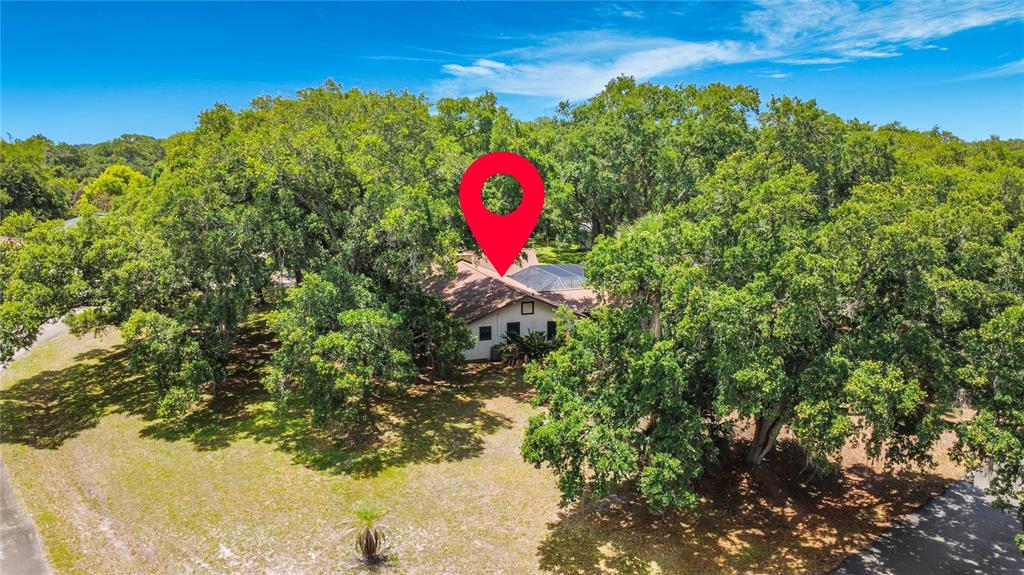 420 Nina Road Northeast Palm Bay, FL 32907 - Photo 3 of 90
