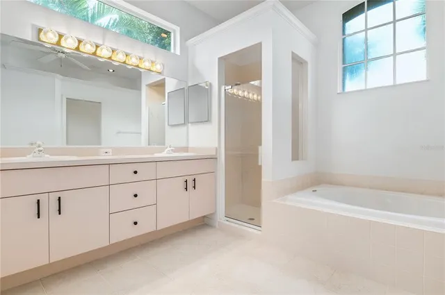 a bathroom with a double vanity sink mirror and bathtub