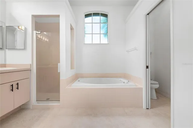 a bathroom with a bathtub and a toilet